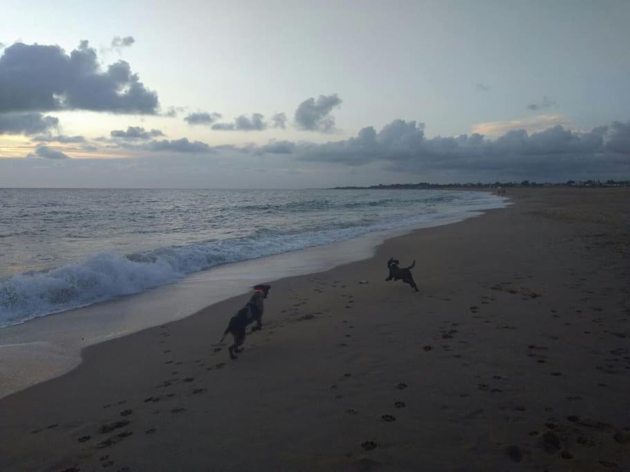 Precioso Apartamento A 50 Metros De La Playa Rincon de la Victoria Bagian luar foto